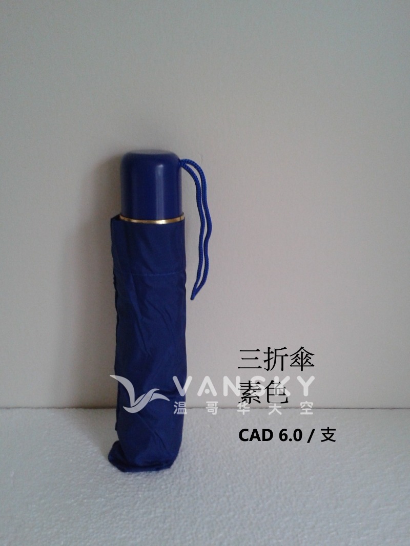 250225074529_3 fold.jpg